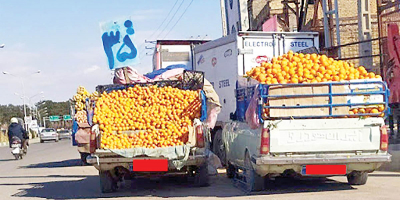 مقابله با شگرد میوه‌فروشان برای افزایش فروش میوه