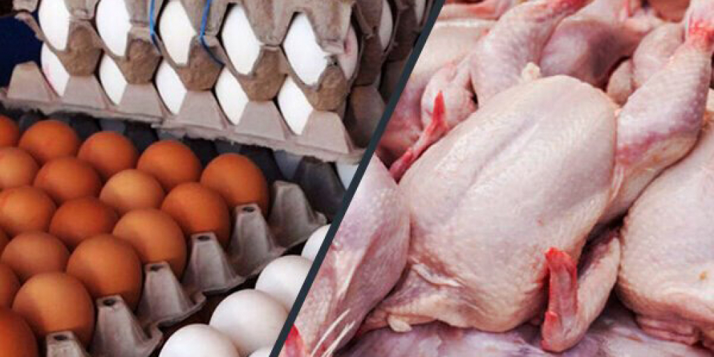 علت بی‌ثباتی قیمت مرغ و تخم‌مرغ در بازار چیست؟